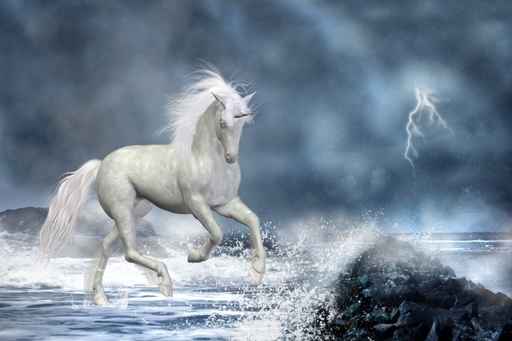 Carte anniversaire cheval blanc