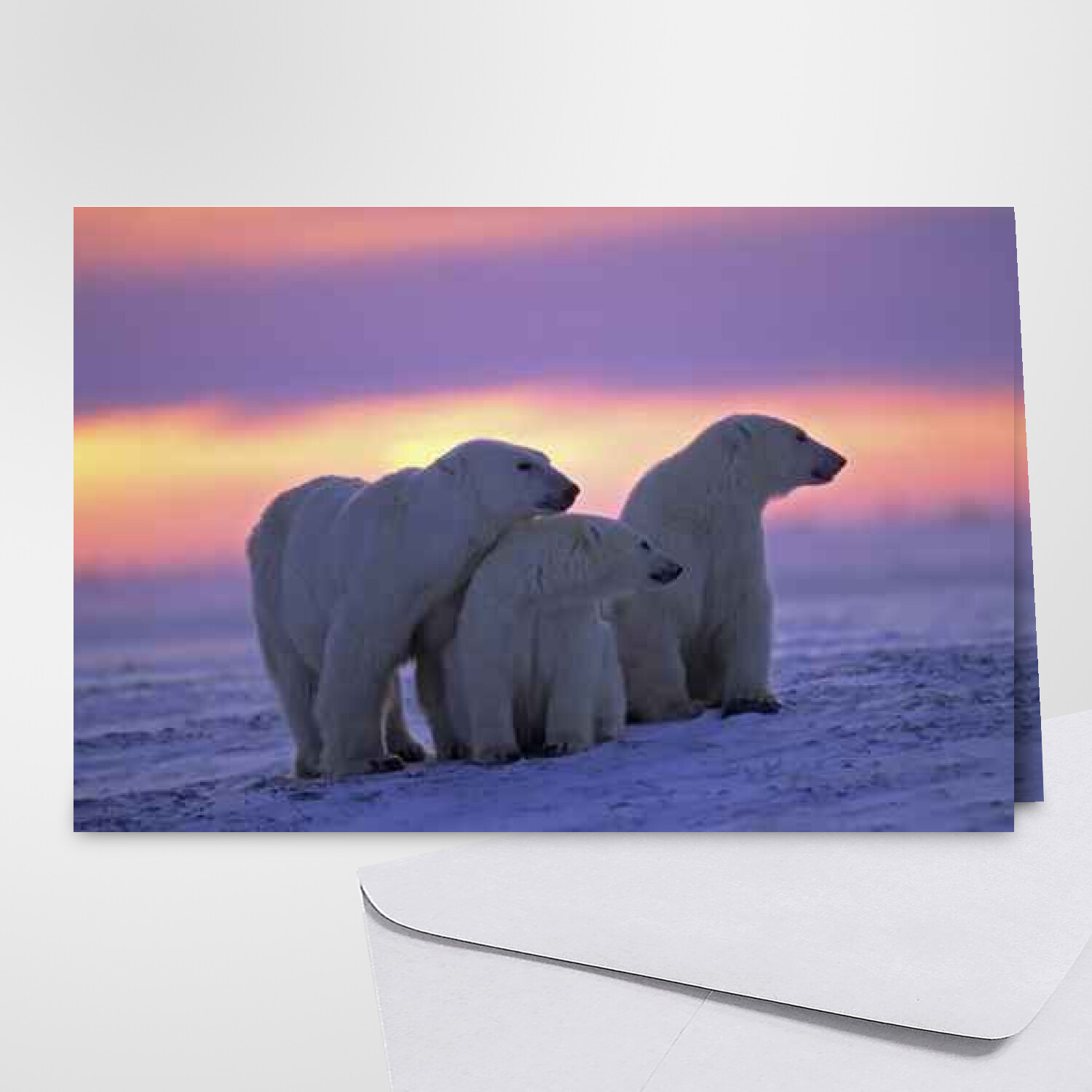 Twizler Carte Merry Christmas Avec Ours Polaire, Fête, Vin Et Bugger – Happy Carte De Noël – Carte