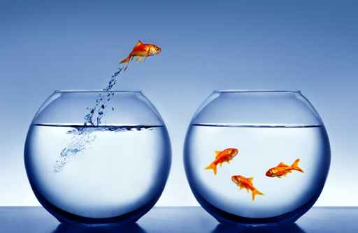 Carton d'invitation poisson