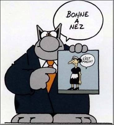 Carte Bonne Année Geluck