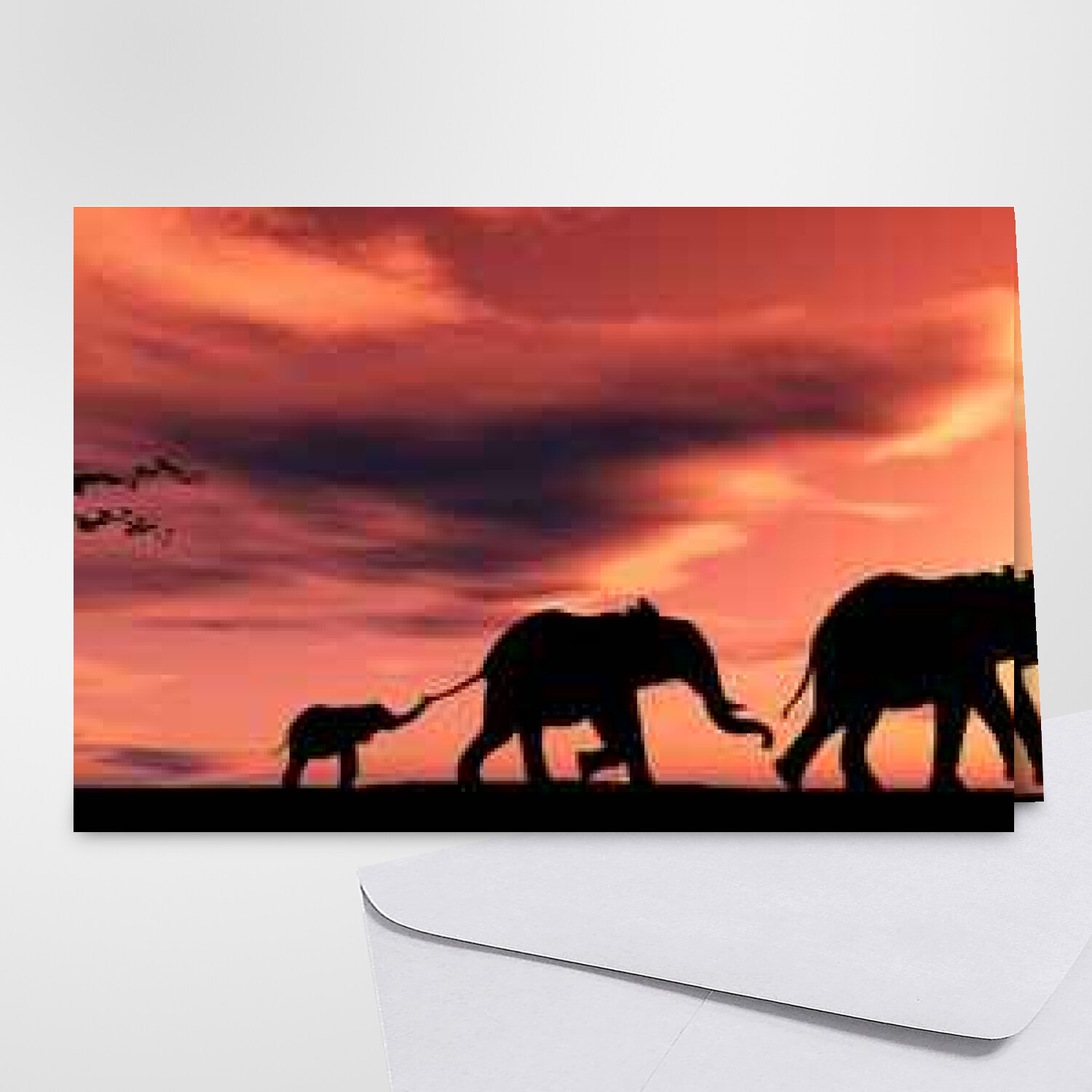 Carte D Anniversaire Elephants Carte Gratuite Carte Animaux D Afrique