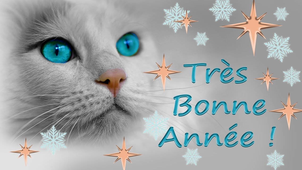 Carte de très bonne année avec chat