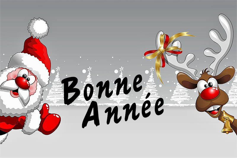 Carte virtuelle Bonne Année !